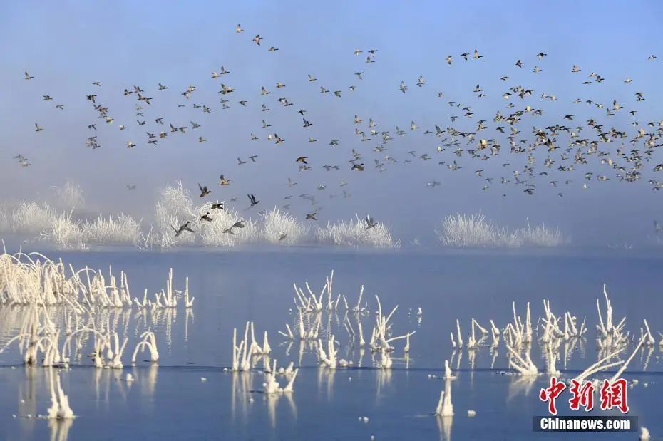 安庆市国家历史文化名城名单,西安历史文化名城保护规划