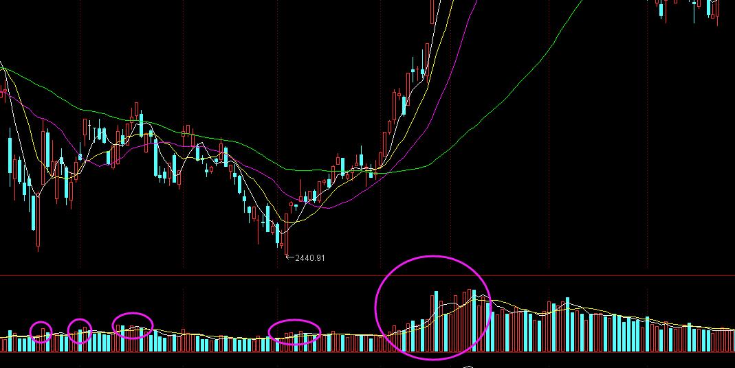 小散炒股记全文,小散炒股选牛股