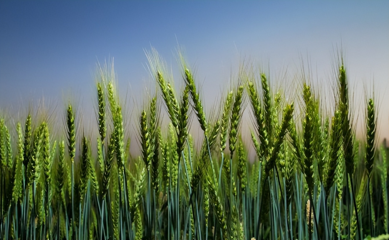 联合国五常从高到低的地位,联合国五常地理条件最差的国家