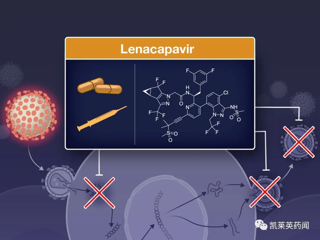 全球首个！吉利德半年一次的长效疗法Sunlenca获欧盟批准上市