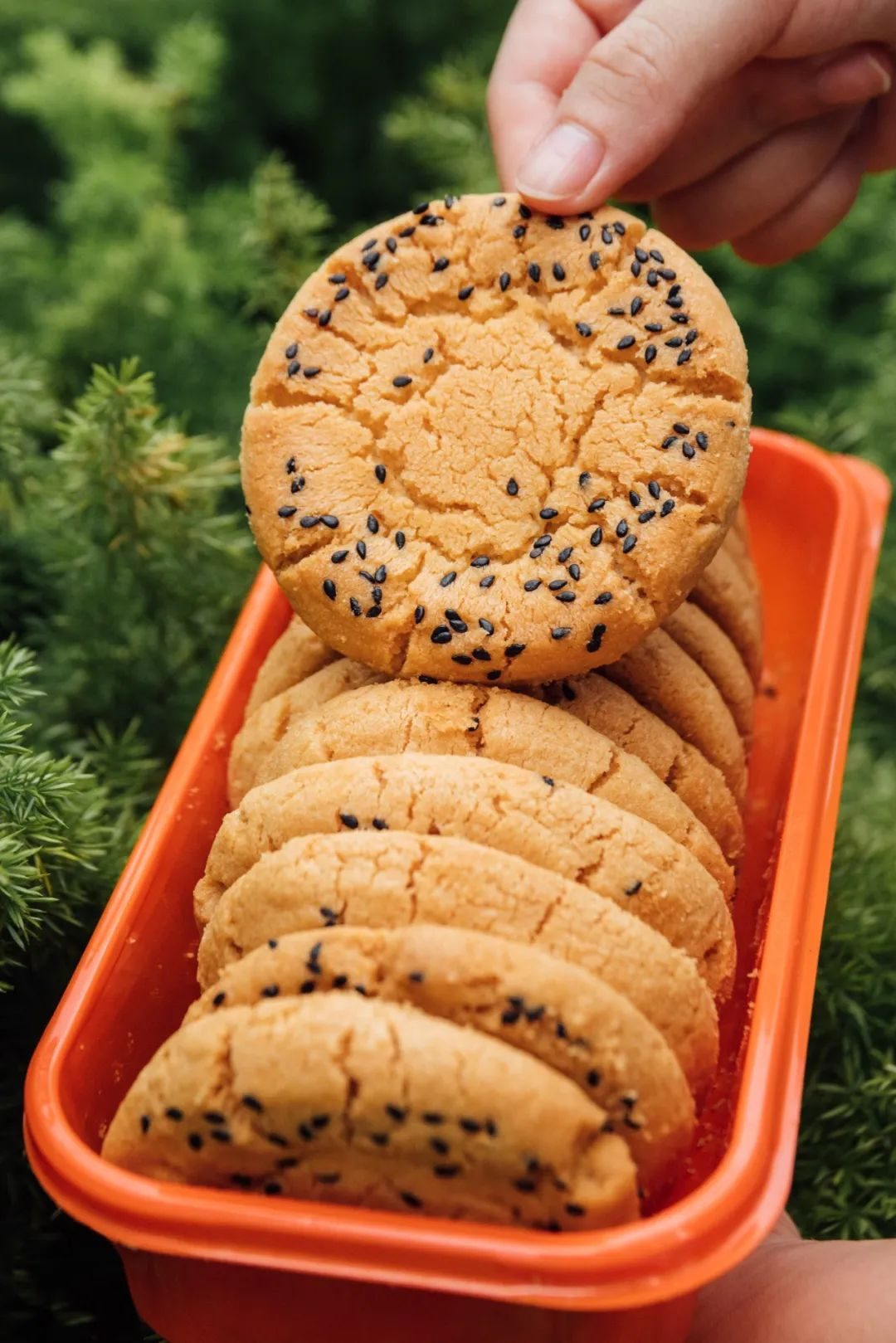 万科点心店,万科甜点店铺