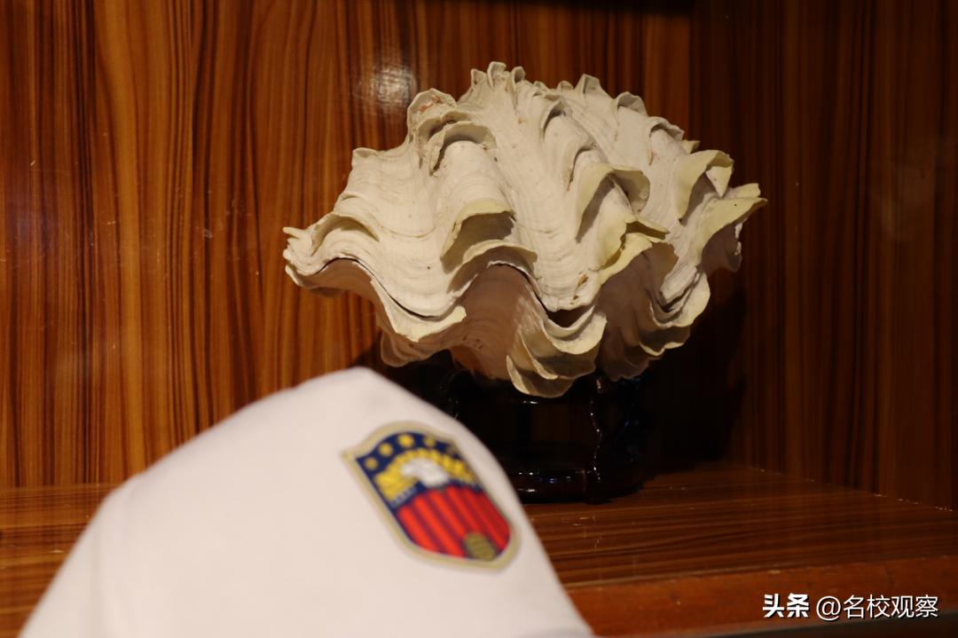 蔚蓝做苍穹，鱼儿变繁星！新川学子，走进浩海立方，探秘无限海洋