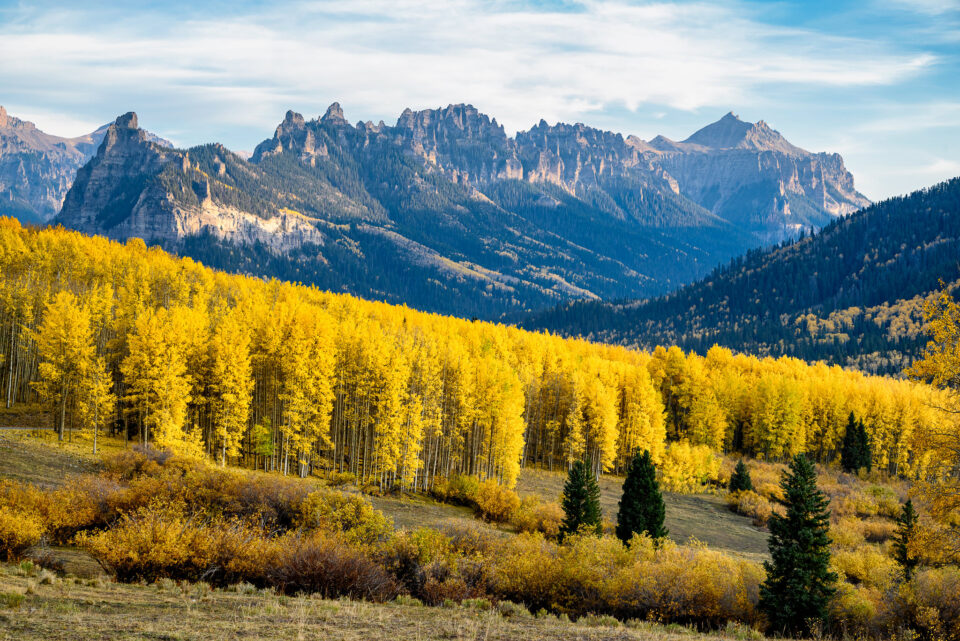 灏煎悍z24-200mmf4娴嬭瘎,灏煎悍z24-200闀滃ご娣卞害娴嬭瘎