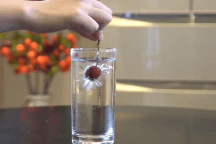 剩菜放冰箱里好还是不放冰箱好,剩菜放置