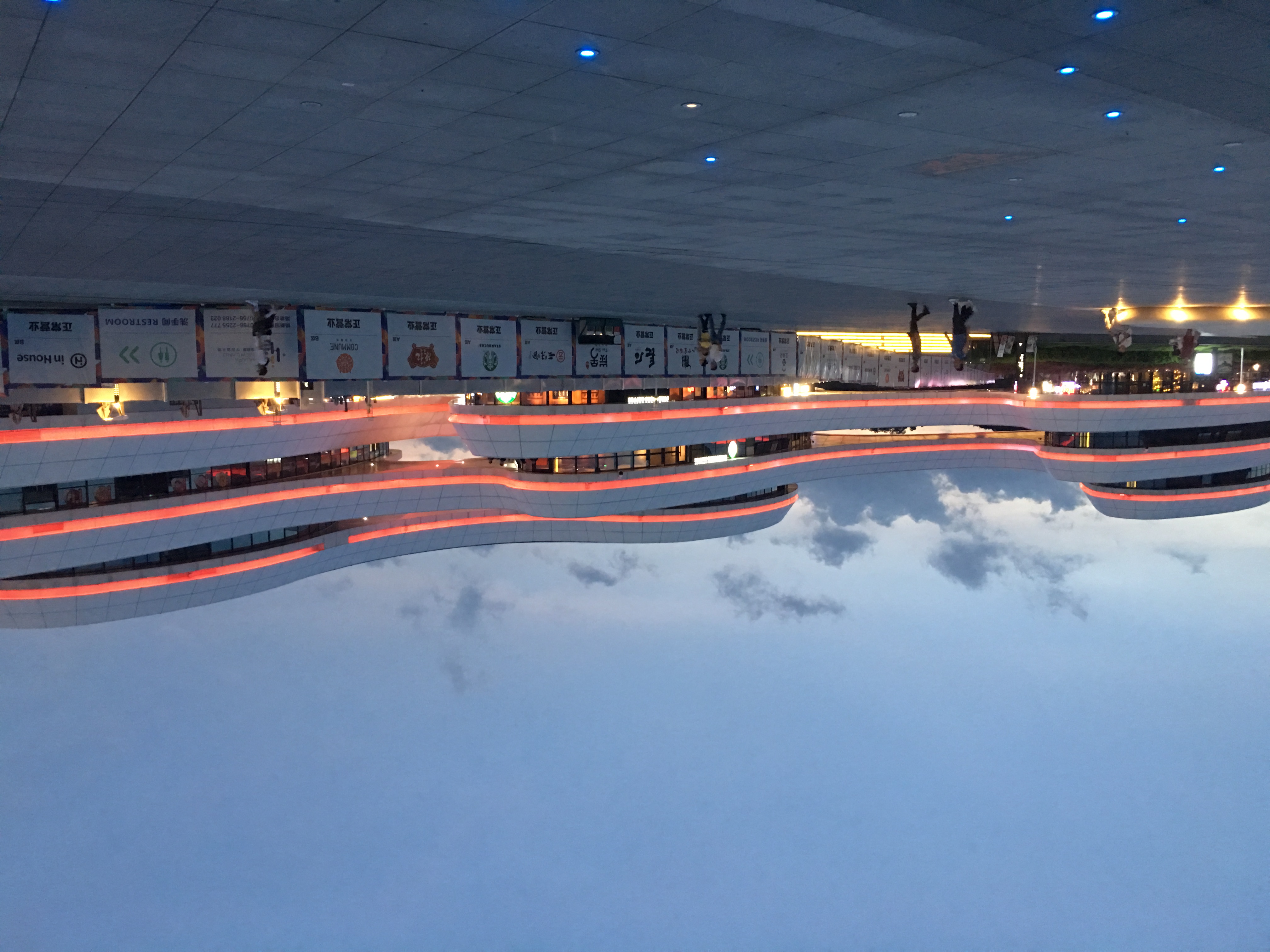 情迷珠海，最美海狸鸟