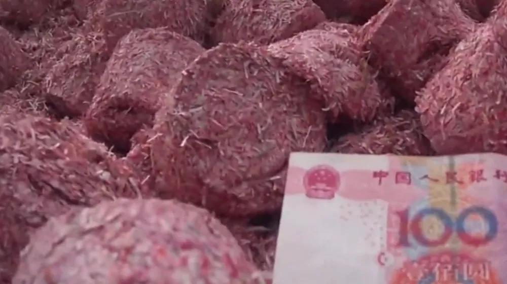 破损人民币银行回收,破损的人民币最终去哪里了