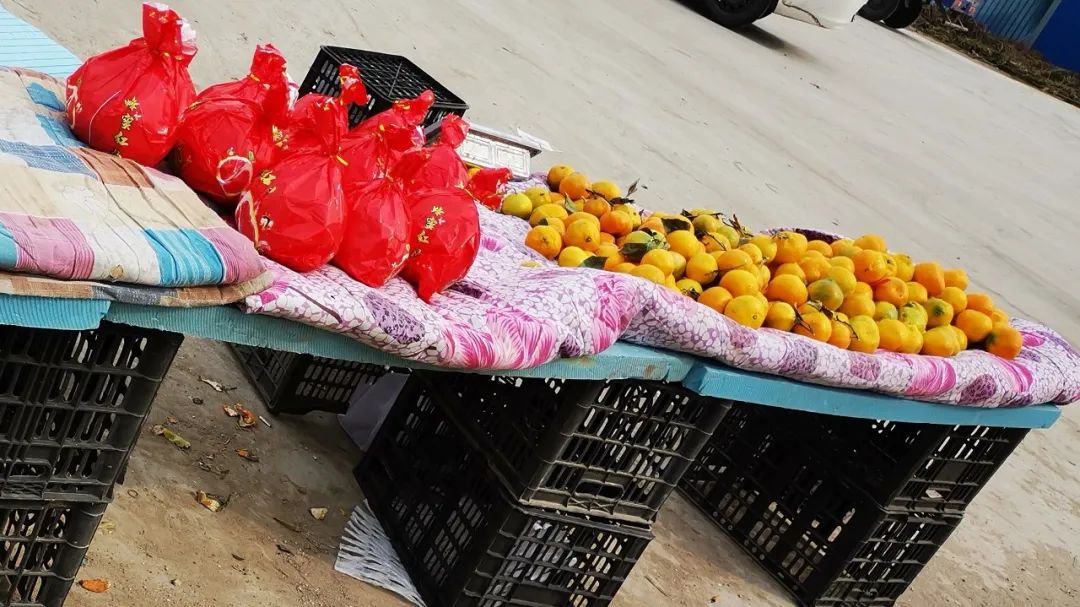 唐山哪卖辽峰葡萄,两串葡萄卖五百