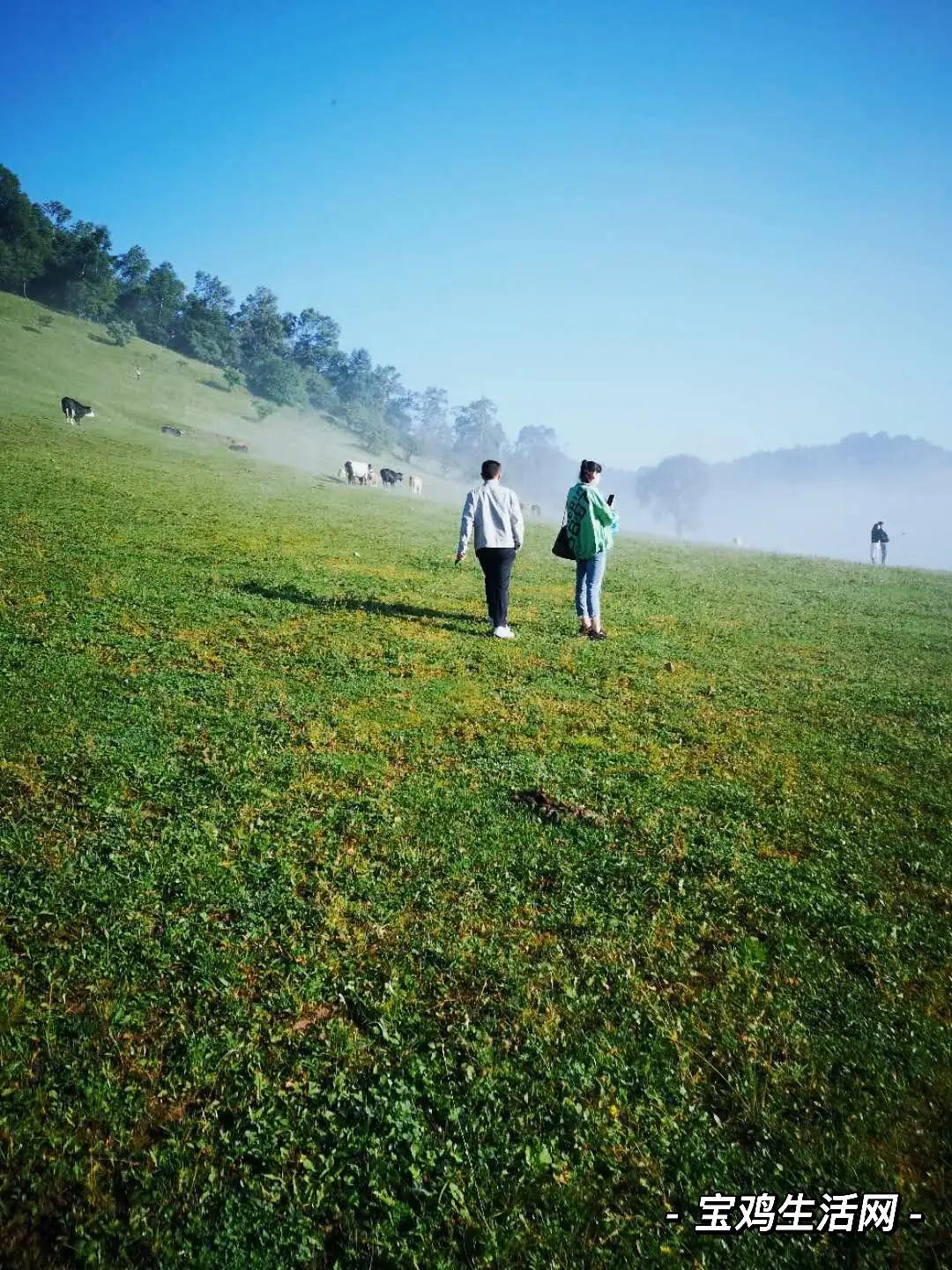 用宝鸡山水为《牧羊曲》配插图，日出嵩山坳，晨钟惊飞鸟