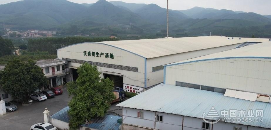 专访沃森,沃森专访