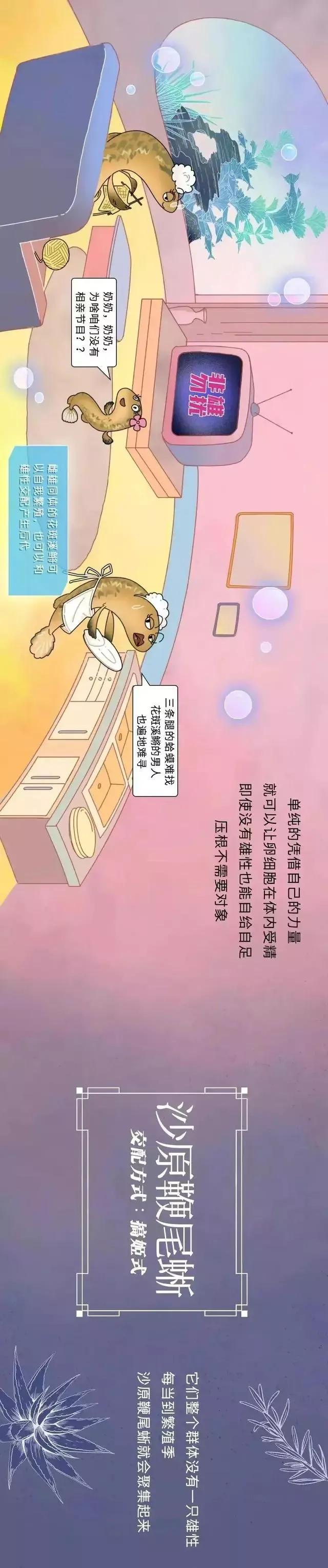 动物交配时长对照表，看完我又自信了（漫画）
