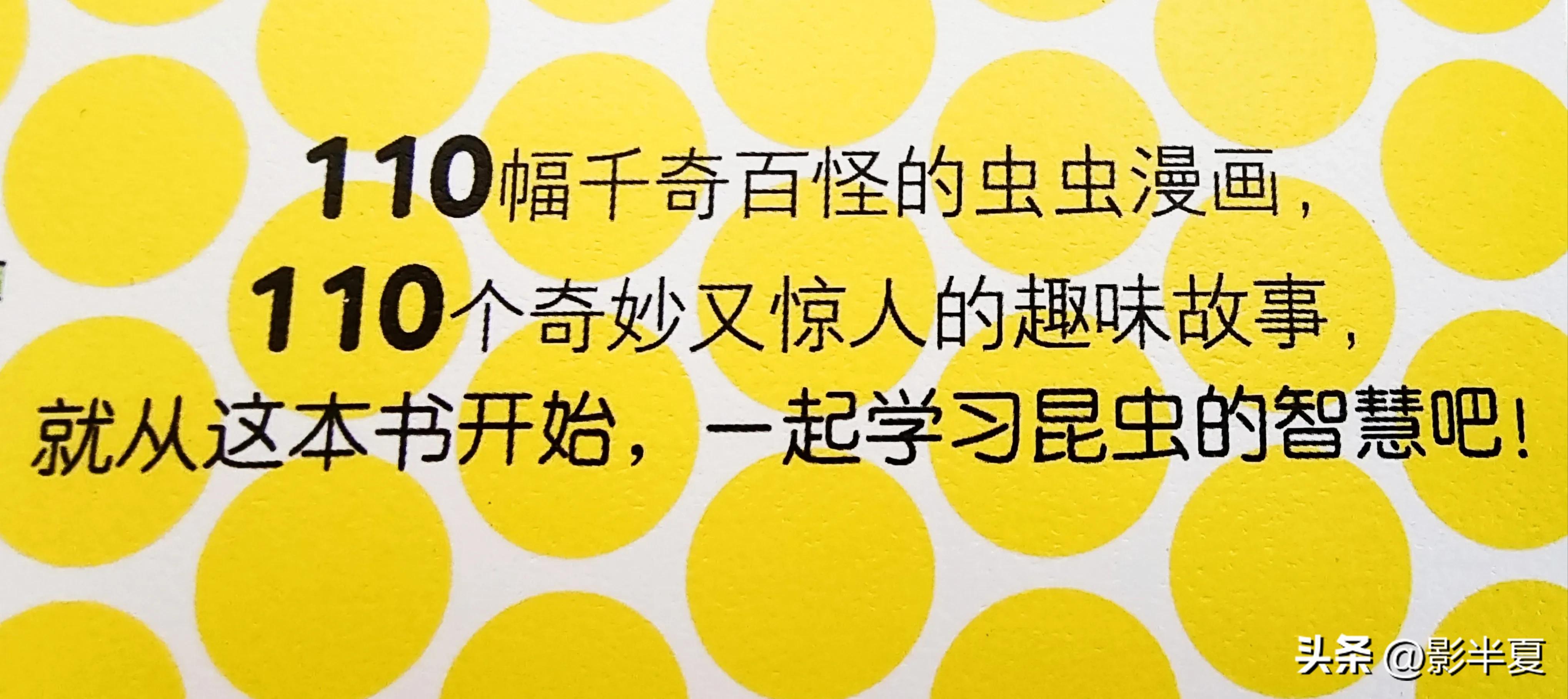 关于昆虫图鉴的书,神奇的昆虫书