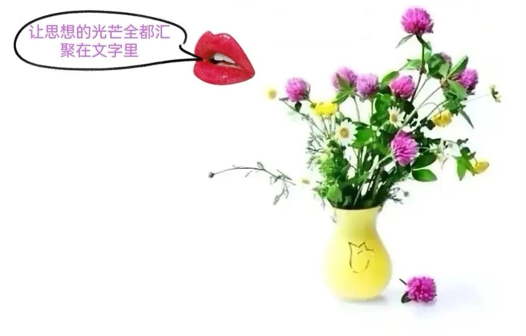 方言漫谈上海话里很多听不懂的词,上海方言不贵怎么说