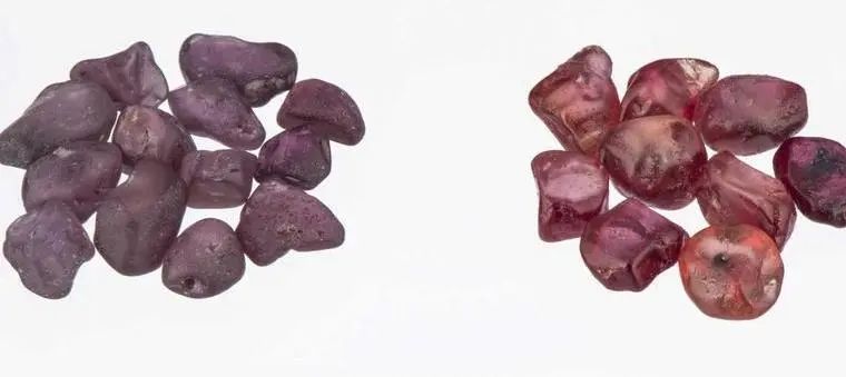 鑺彔,鑺彔鐝犲疂