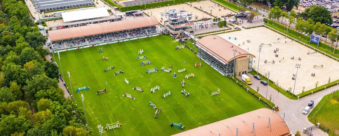 新手买马买什么马好,买马要办什么证件