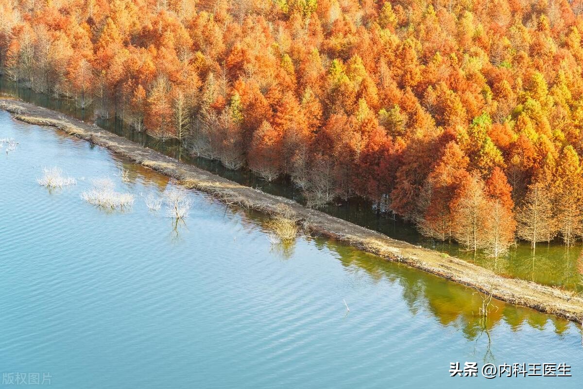 西地那非禁忌者该用什么,西地那非长期使用的后果