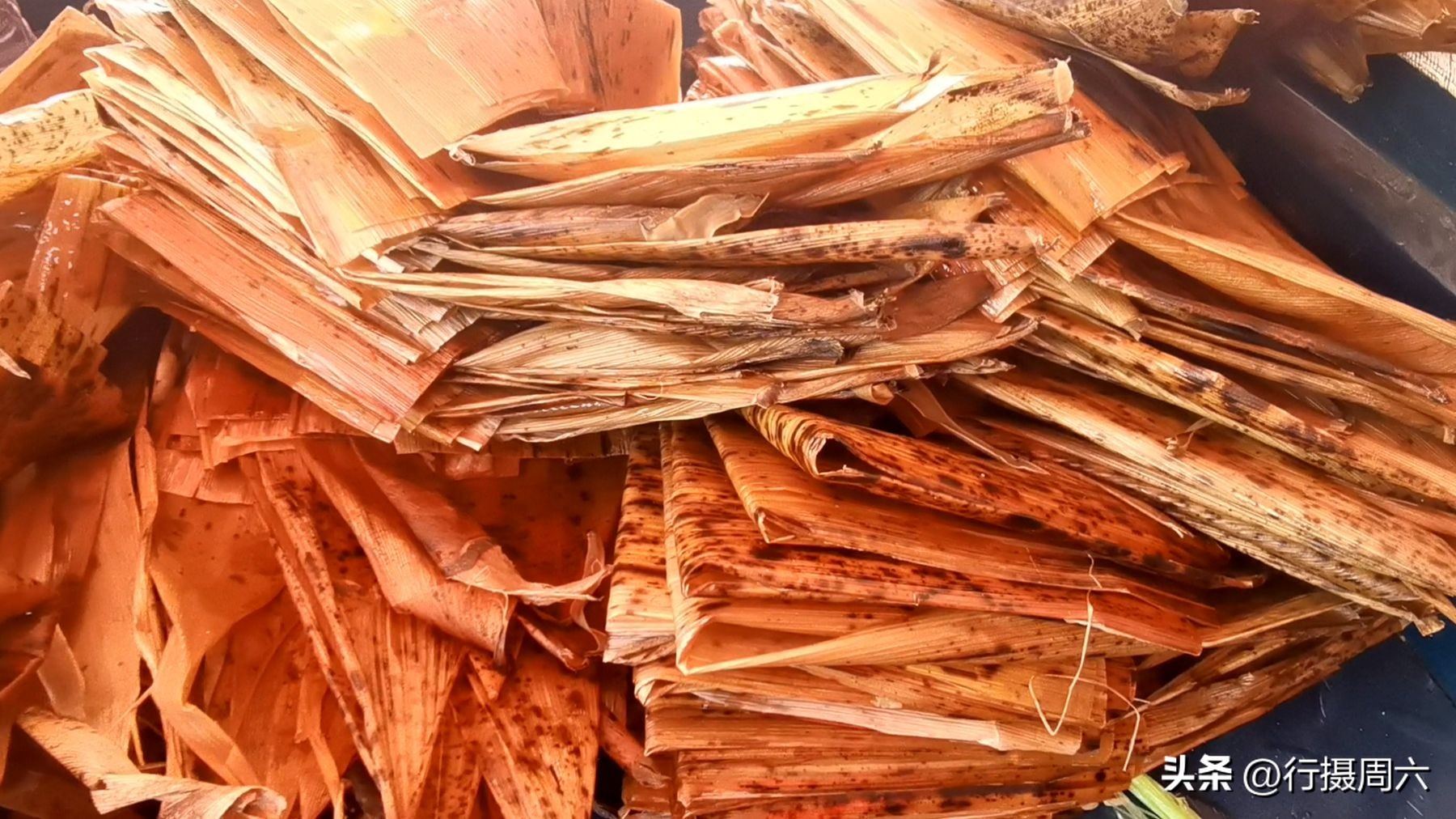 陕西娃花5千元买下做粽子技术，在山西干了21年，走上致富路