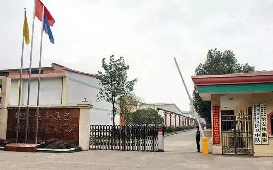 湖南桃源纺织印染厂2000年,湖南桃源纺织印染厂简介