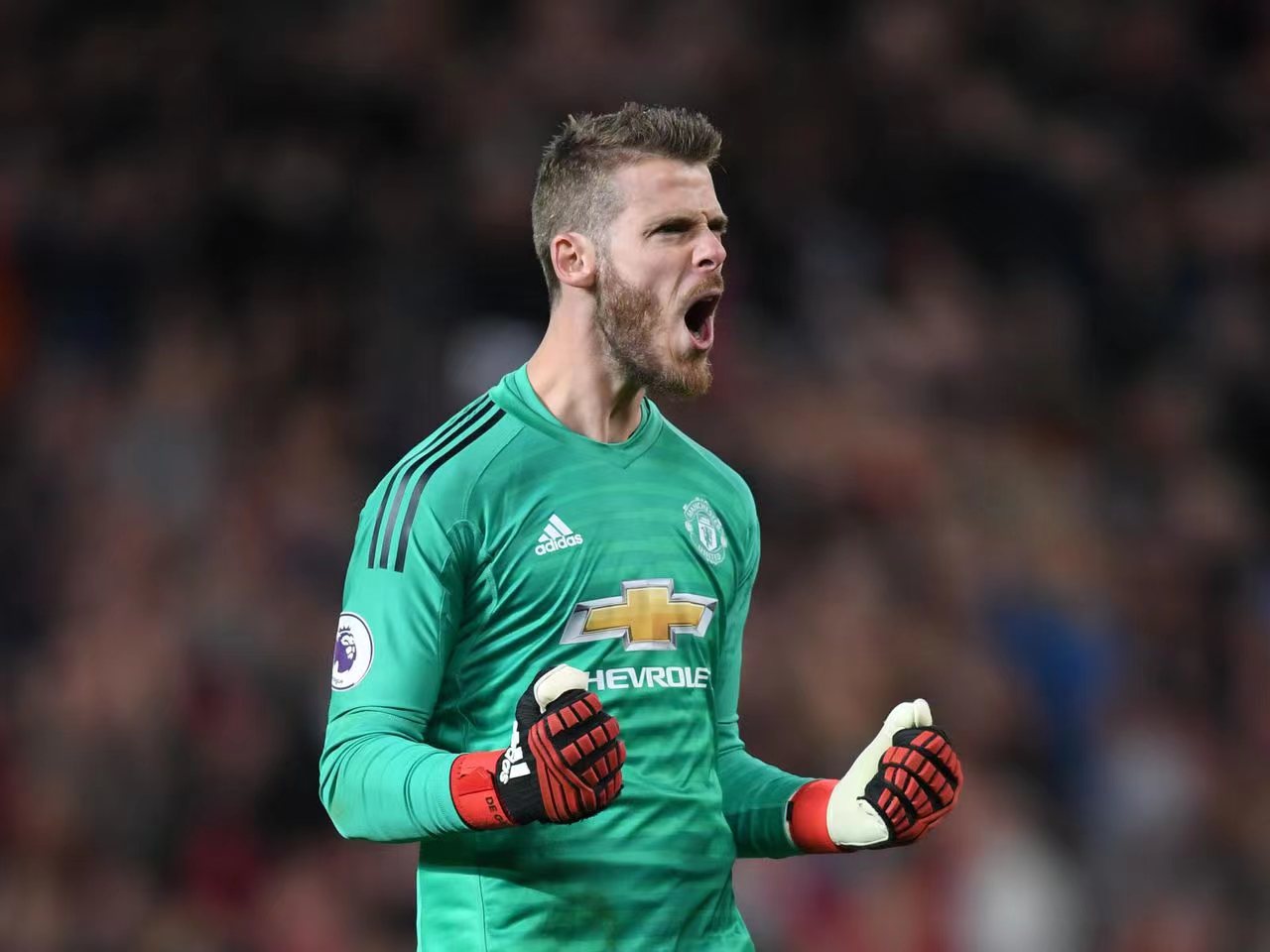 拉姆斯代尔德赫亚,拉姆斯代尔德赫亚阿利松