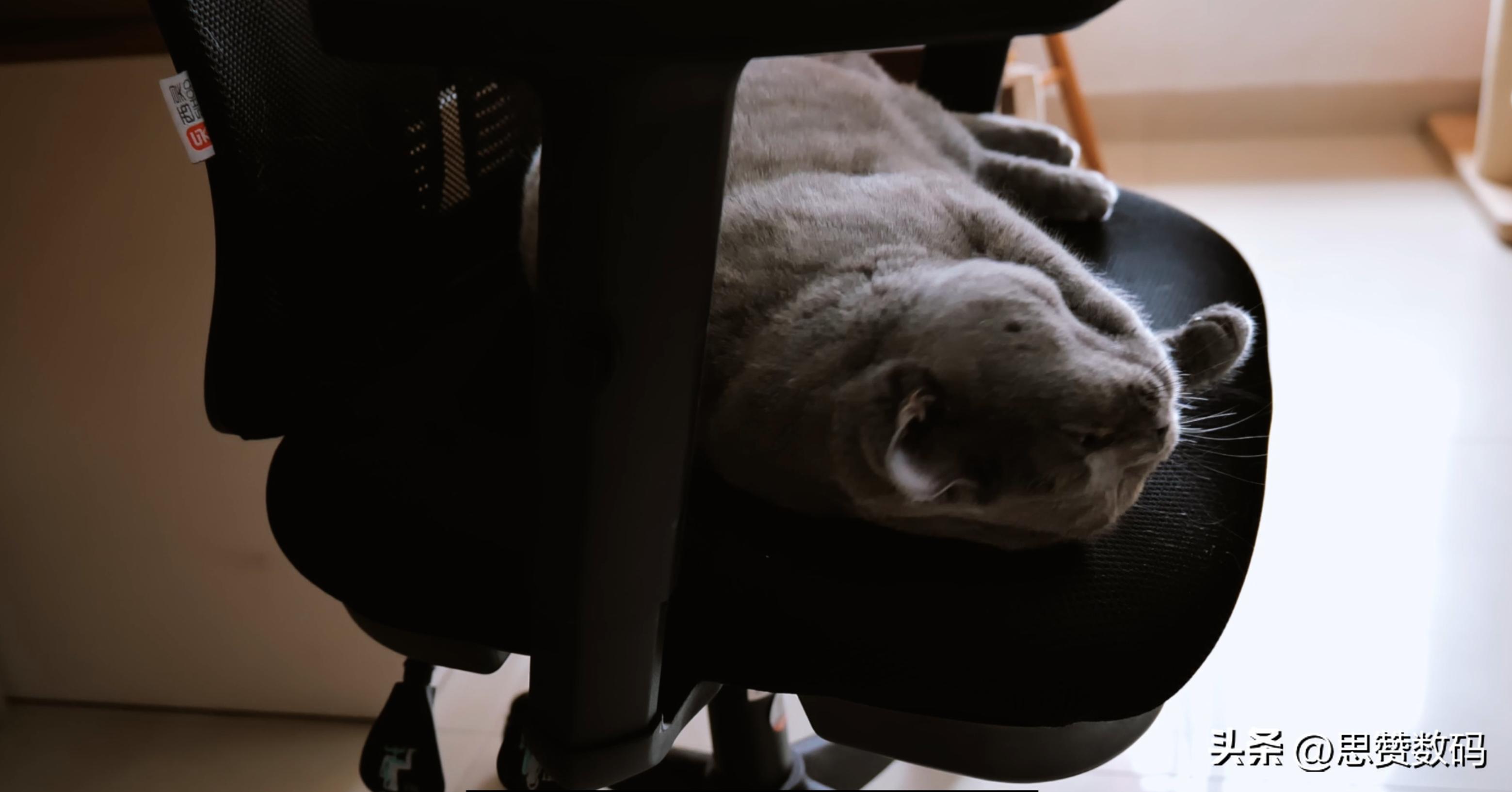 西昊电脑椅m18与m56,歌德利g18六代和西昊m56怎么选