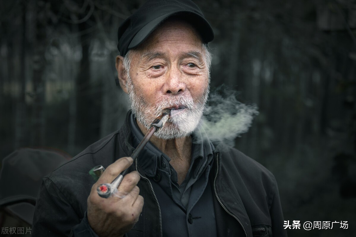 唐都浪子《饥荒年代关中往事》之：烧毛豆