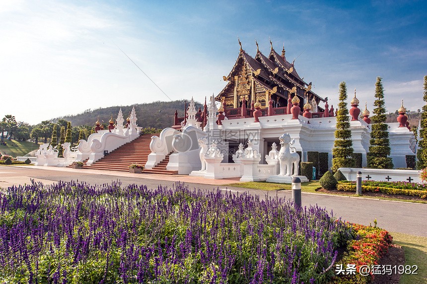 清迈吃饭有多便宜,清迈美食攻略及价格