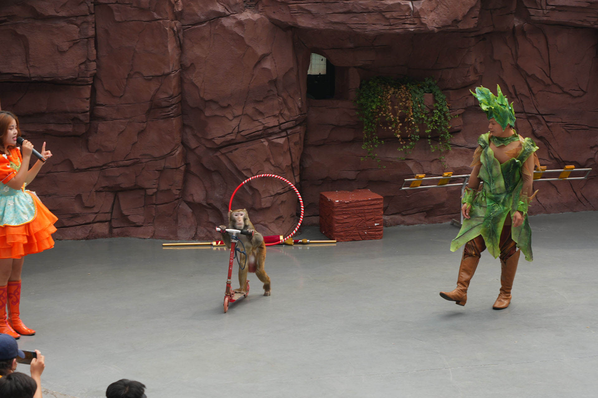 河南焦作一日游最佳路线图,河南焦作云台山游记