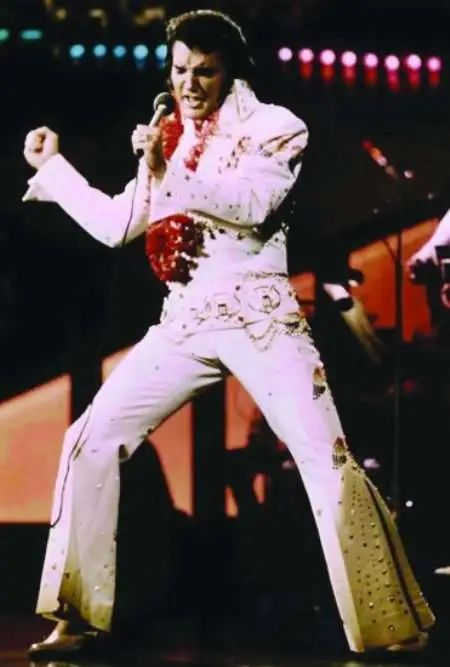 猫王女儿现状,猫王女儿遗产细节全曝光