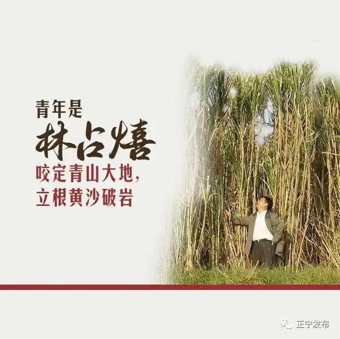 致青春致人生,致青春致年少