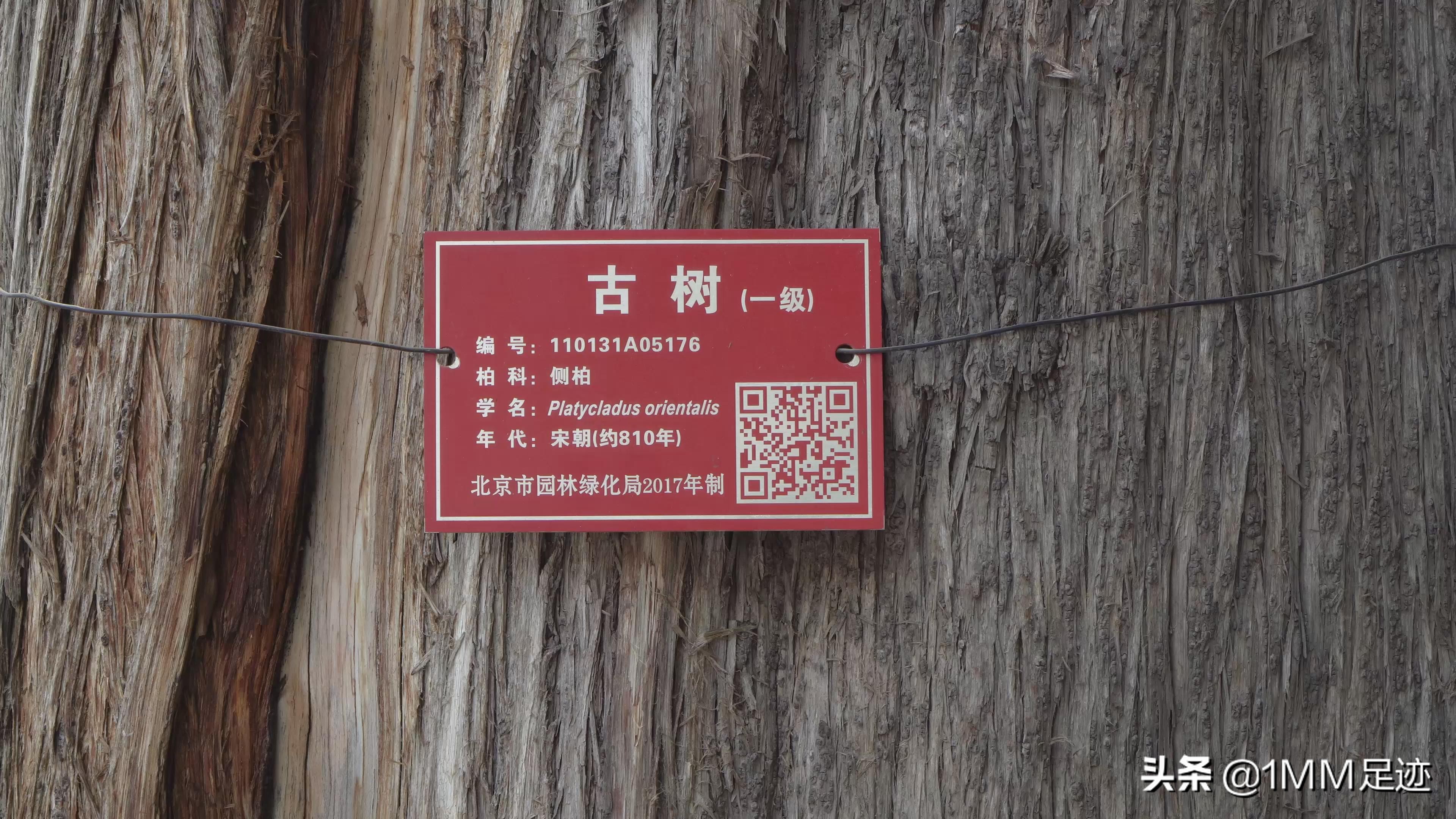 故宫、中南海旁的“世界最小城堡”，第一批全国重点*物文**保护单位