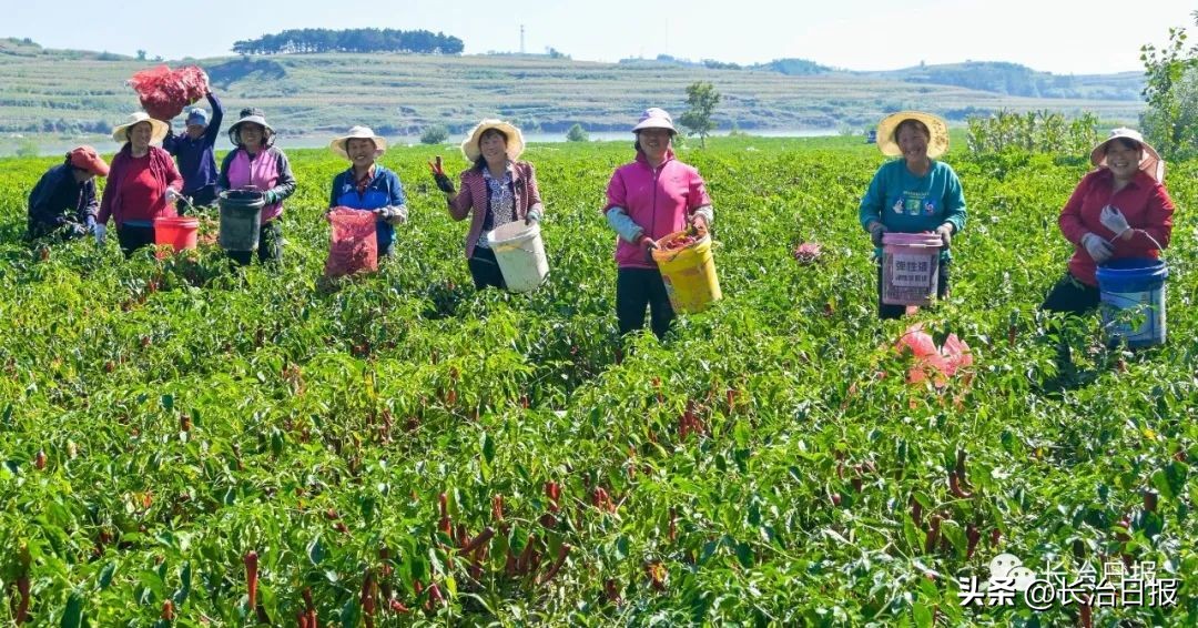 产业发展助推乡村振兴,产业振兴助推强村富民