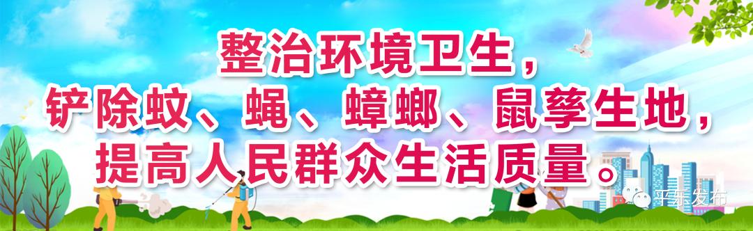 广西桂林平乐沙子石板街,桂林沙子古街
