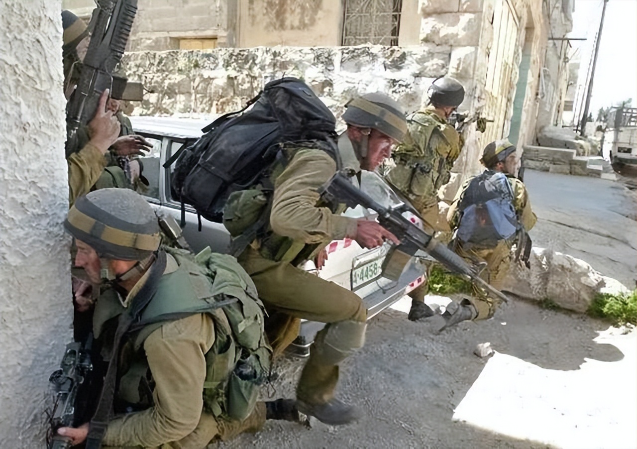 果园行动视频,果园行动感想