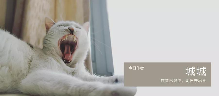 我在南极养企鹅,我在南极的日子