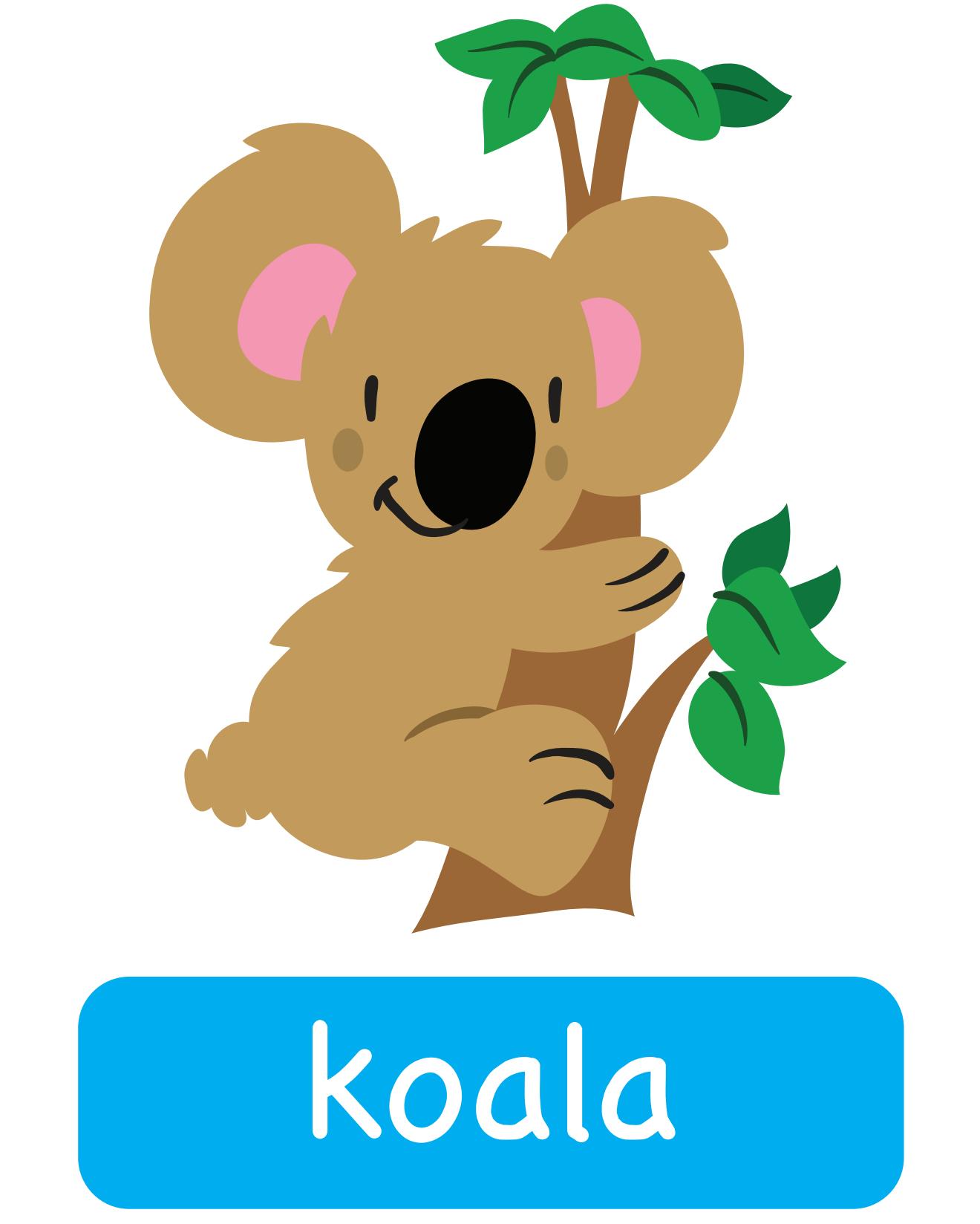 图说英语单词：高清动物类卡片，一图一单词