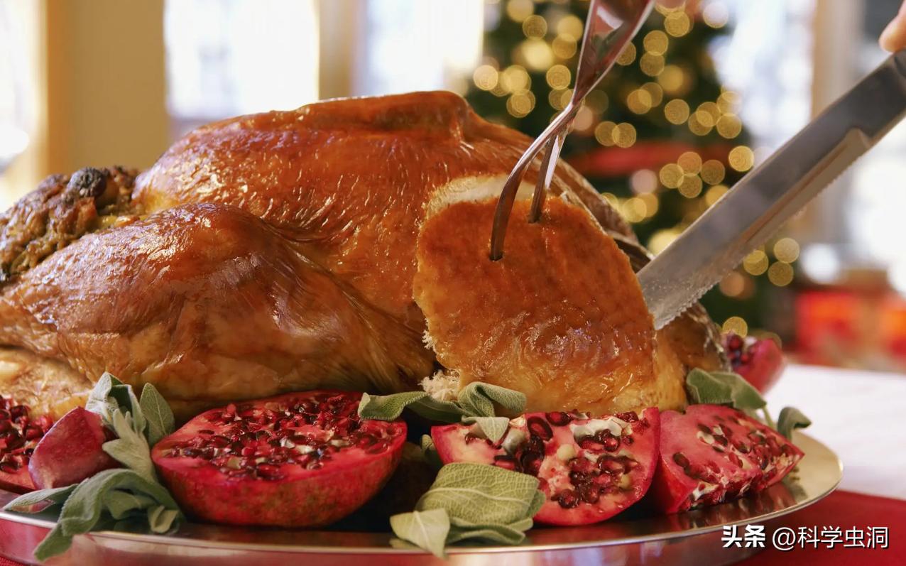 西方为什么喜欢火鸡,西方人为什么喜欢火鸡