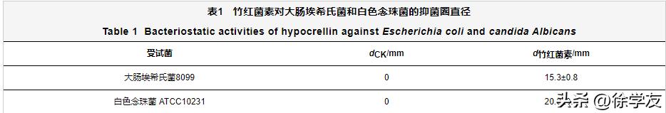 竹红菌素中试提纯工艺及抑菌活性研究