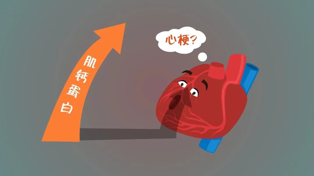 肌酸激酶过高会心肌梗死吗,肌酸激酶高的原因是不是心肌炎