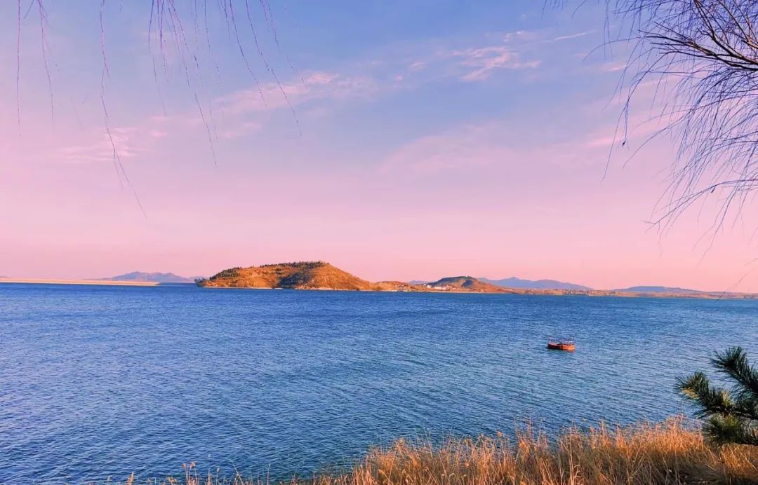 乡村振兴100讲全集,100个经典乡村振兴案例