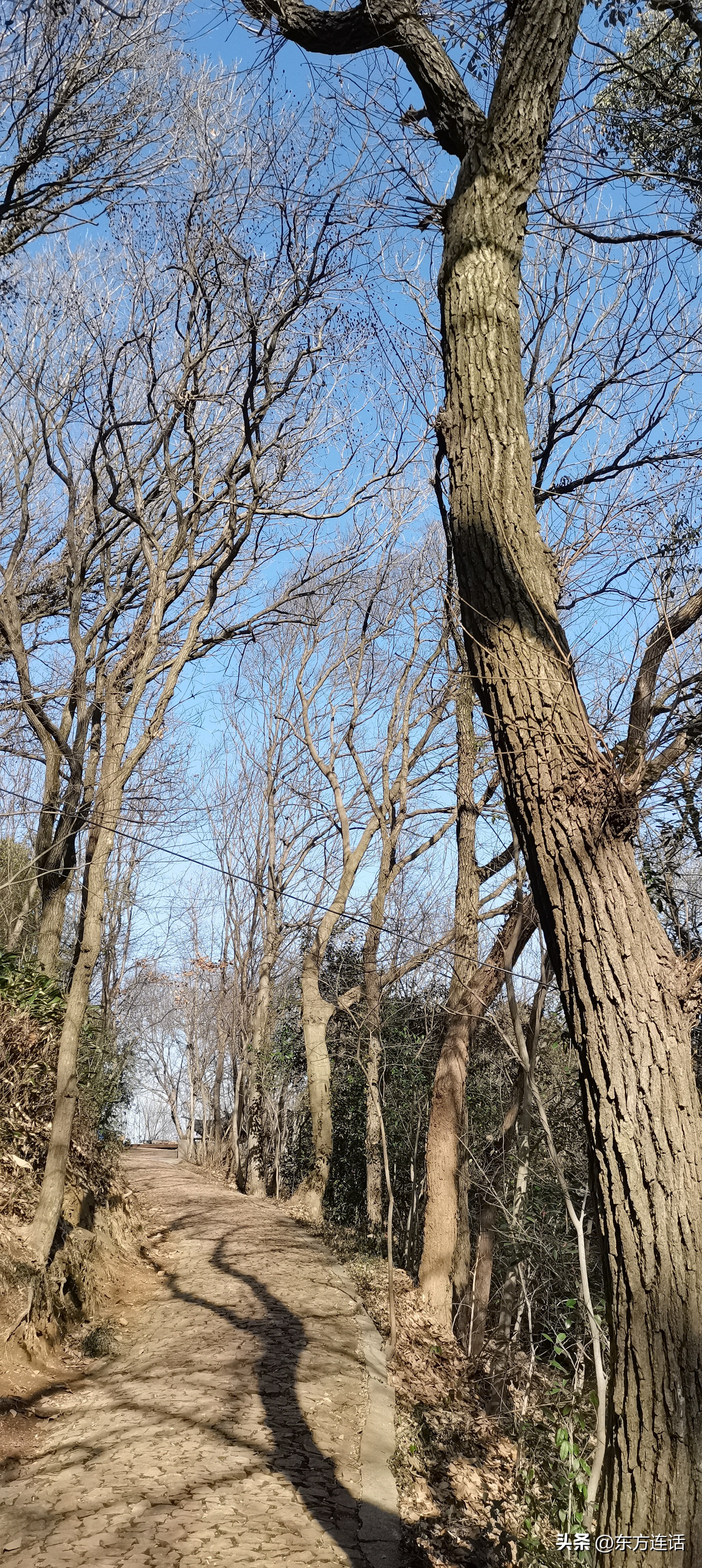 佘山月湖雕塑公园,上海市佘山公园