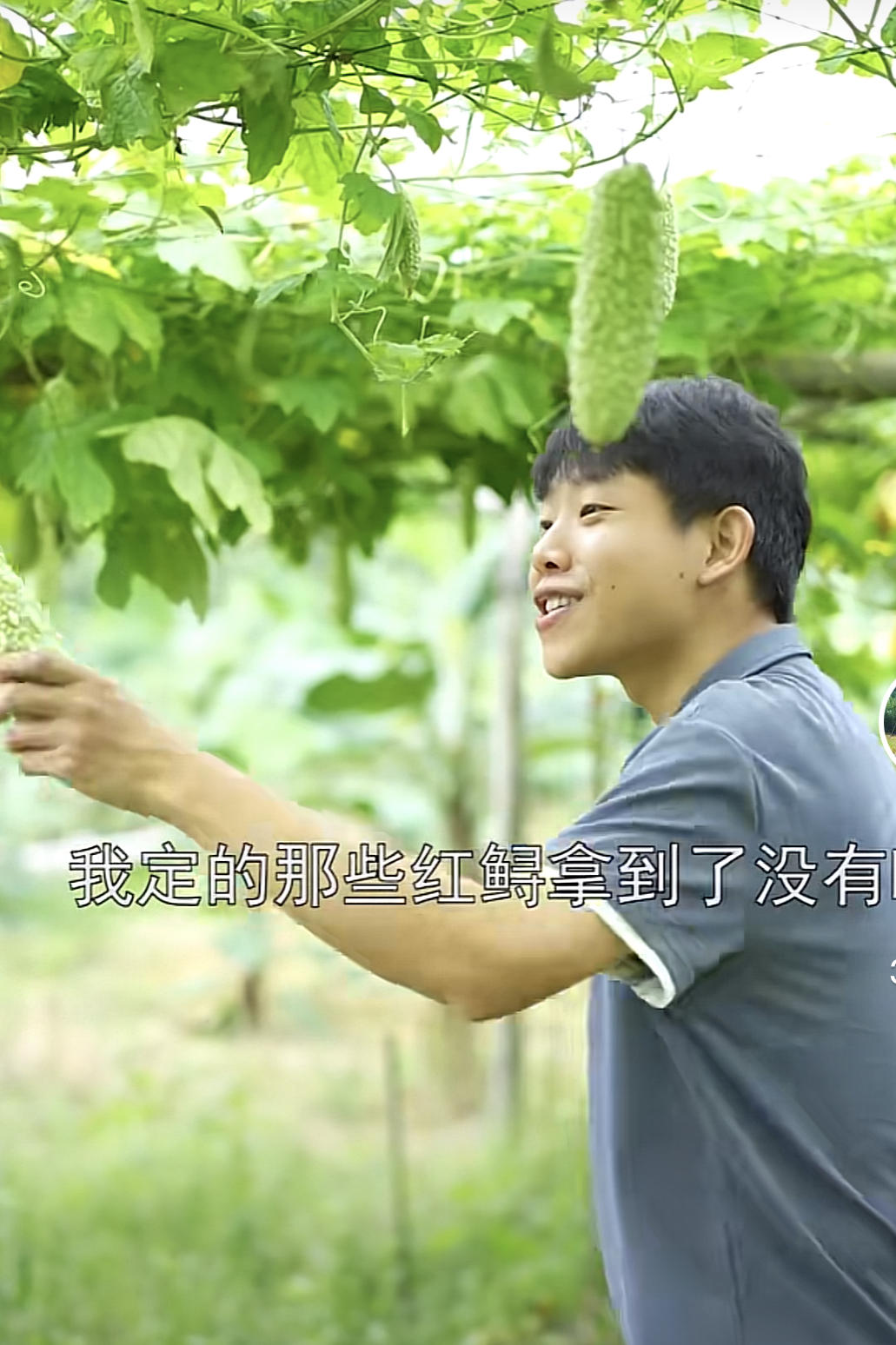 福建小伙放弃导演梦，回村养猪，照顾妈妈，一年涨粉2100万