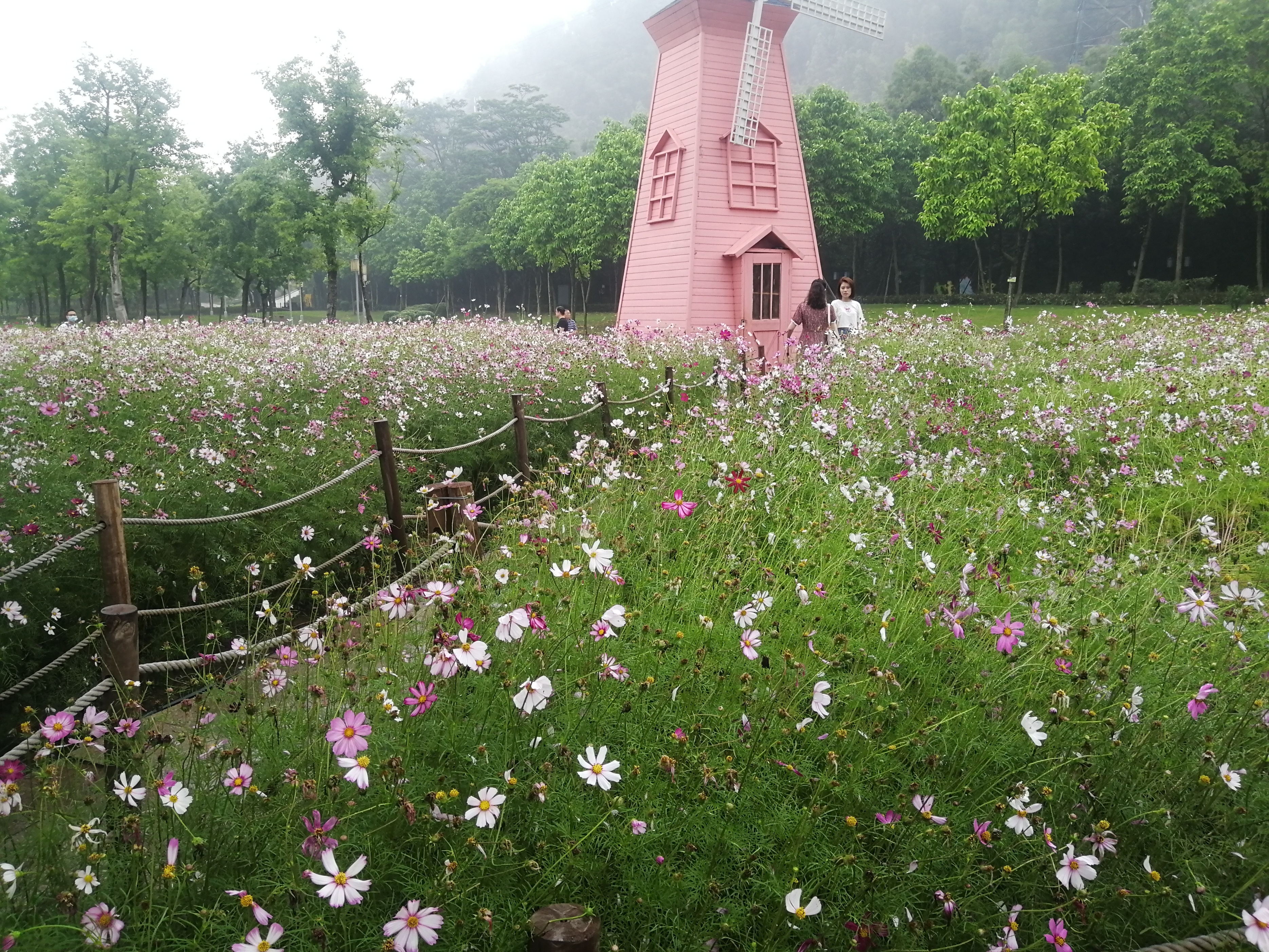 打卡广州地铁7号线,打卡广州最美7公里