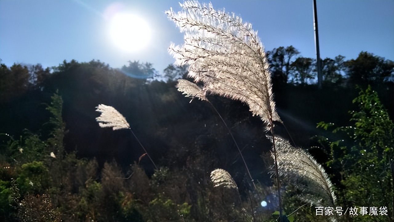 民国时期西丰县,民国时期的西丰