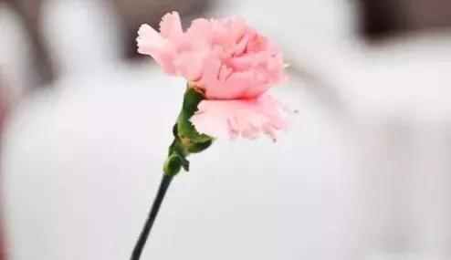 最爱我的那个人走了