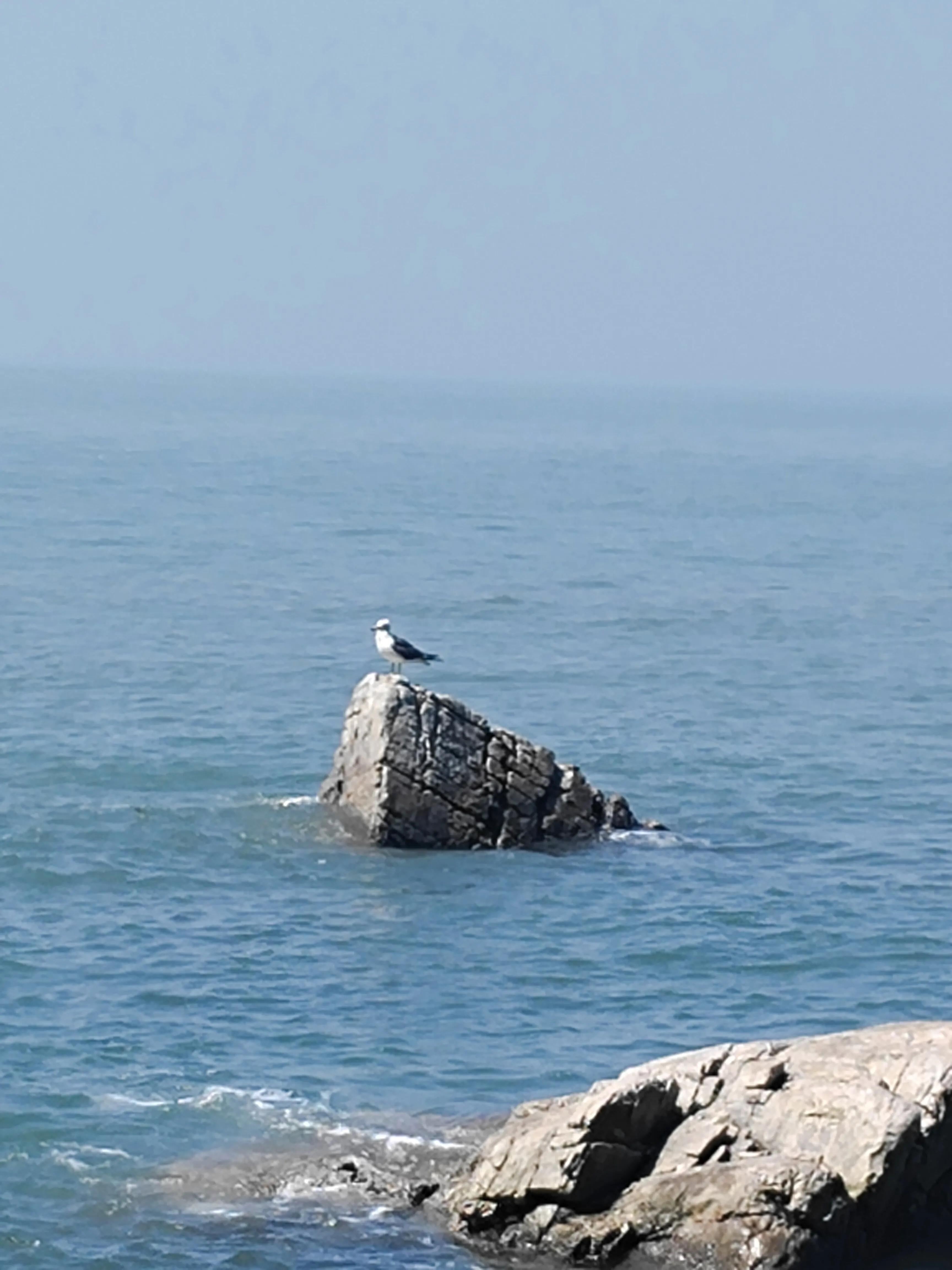 长岛旅游九丈崖,长岛一日游烟台的海
