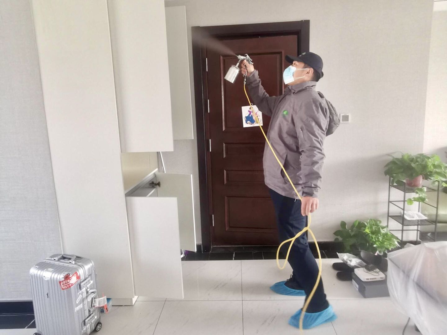 家具怎么快速去除甲醛异味,洋葱可以去除家具异味吗