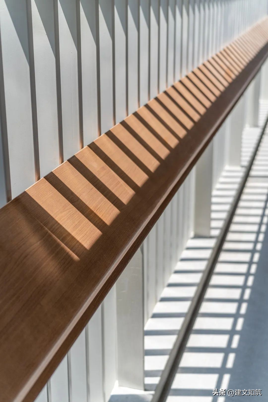 深圳市南山区丽林维育学校学费,丽林维育学校深圳