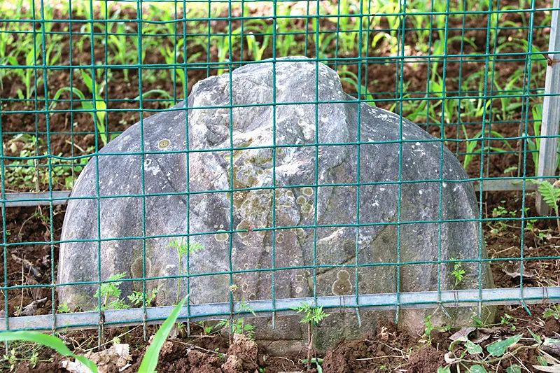 宋朝州与县的关系,宋朝元朝那些事儿