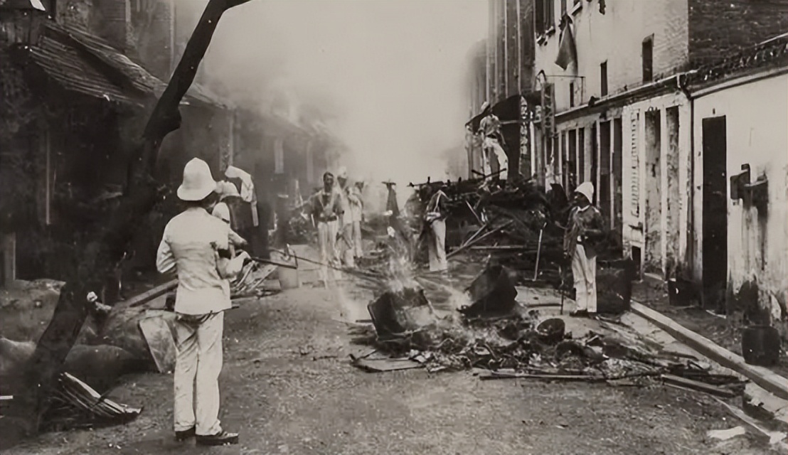 越南为什么没有苍蝇蚊子,越南为什么没有大熊猫