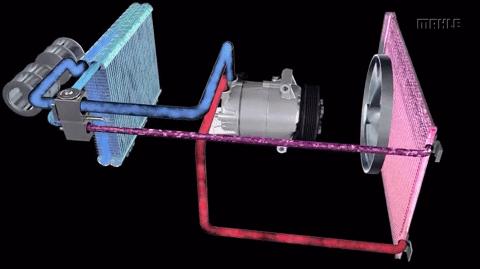 车内有霉味怎么除,车有异味除味妙招
