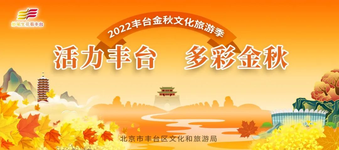 【FENG景】创森动态|天元公园——天圆地方，林间休闲